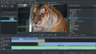 KdenLive Software Review